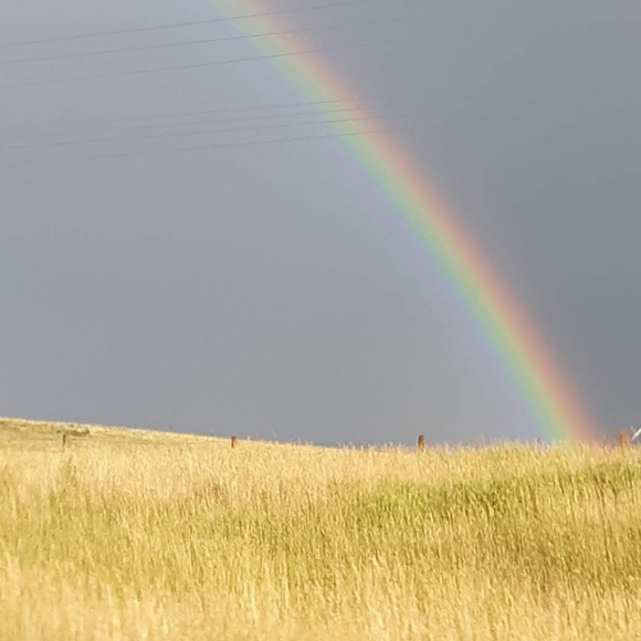 thatprairiegirl